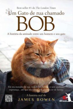 Download livro Um Gato de Rua Chamado Bob James Bowen em ePUB mobi e PDF