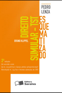 Download Direito sumular esquematizado – TST Bruno Klippel em epub mobi e pdf