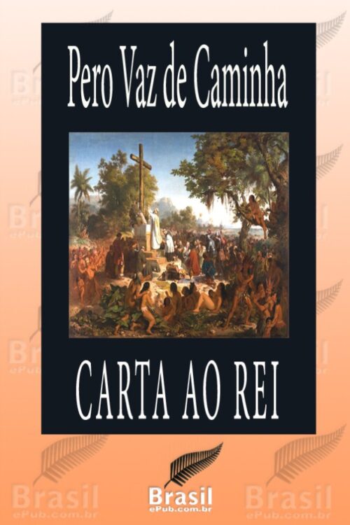 Download Carta ao Rei Pero Vaz de Caminha em ePUB mobi e pdf