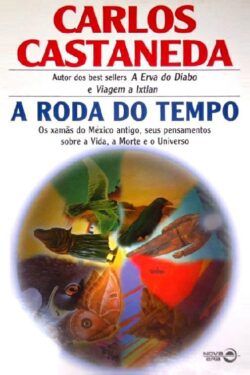 Download A Roda do Tempo Carlos Castaneda em ePUB mobi e pdf