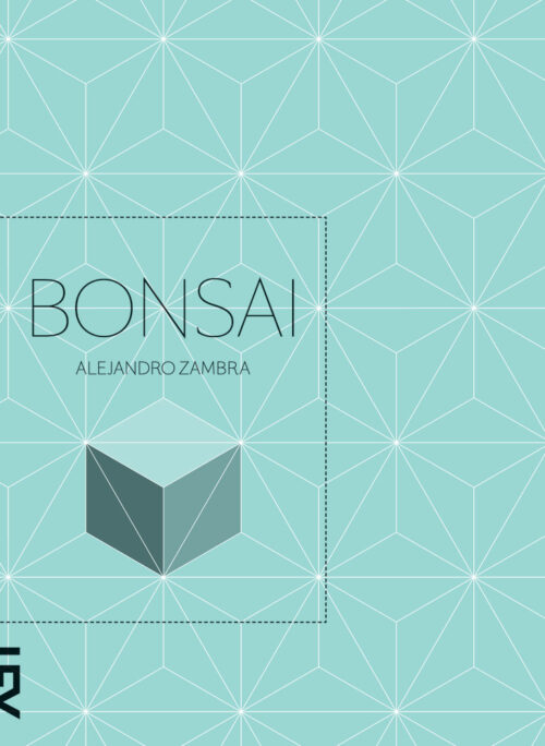 Download Bonsai Alejandro Zambra em ePUB mobi e pdf