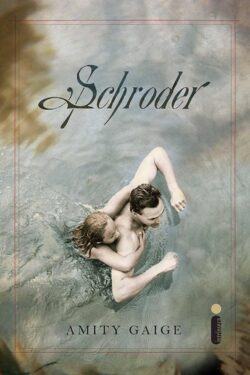 Download Schroder Amity Gaige em ePUB mobi e pdf