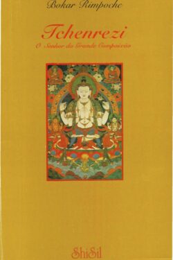 Download Tchenrezi O Senhor da Grande Compaixao Bokar Rimpoche em ePUB mobi e pdf