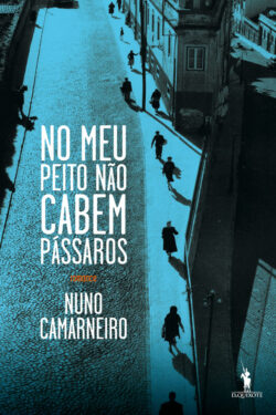 Baixar Livro No Meu Peito Nao Cabem Passaros Nuno Camarneiro em PDF ePub e Mobi