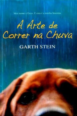 Baixar Livro A Arte de Correr na Chuva Garth Stein em PDF ePub e Mobi