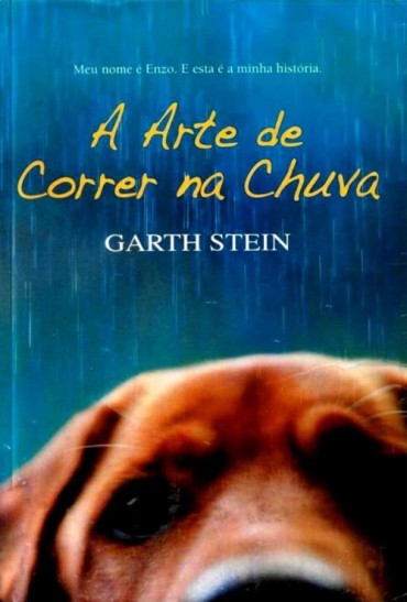 Baixar Livro A Arte de Correr na Chuva Garth Stein em PDF ePub e Mobi