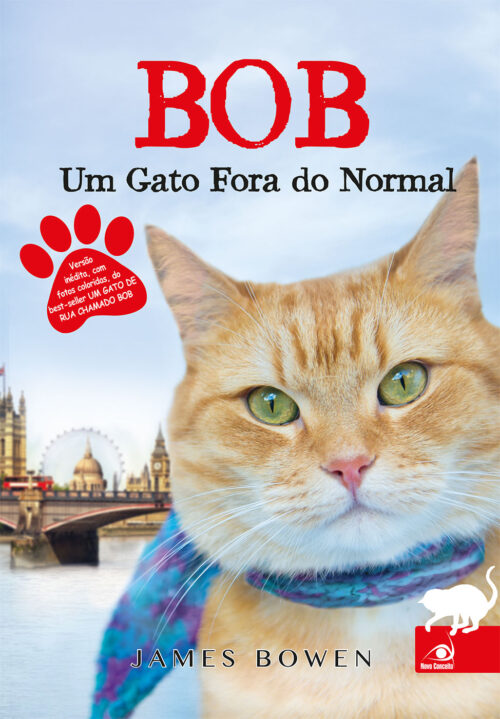 Baixar Livro Bob Um Gato Fora do Normal James Bowen em PDF ePub e Mobi