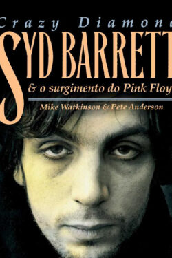 Baixar Livro Crazy Diamond Mike Watkinson em PDF ePub e Mobi