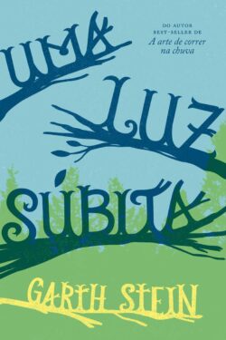 Baixar Livro Uma Luz Subita Garth Stein em PDF ePub e Mobi