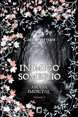 Baixar Livro Inimigo Sombrio Amada Imortal Vol 3 Cate Tiernan em PDF ePub e Mobi ou ler online