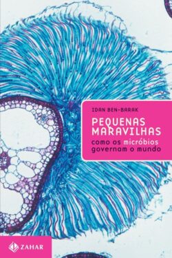 Baixar Livro Pequenas maravilhas Idan Ben Barak em PDF ePub e Mobi