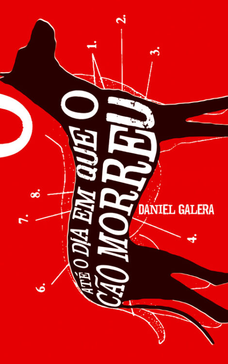 Baixar Livro Ate o Dia em Que o Cao Morreu Daniel Galera em PDF ePub e Mobi ou ler online