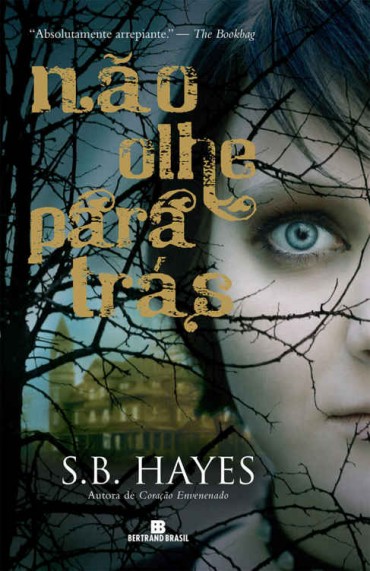 Baixar Livro Nao Olhe para Tras S B Hayes em PDF ePub e Mobi ou ler online