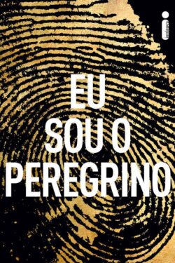 Baixar Livro Eu sou o peregrino Terry Hayes em PDF ePub e Mobi ou ler online