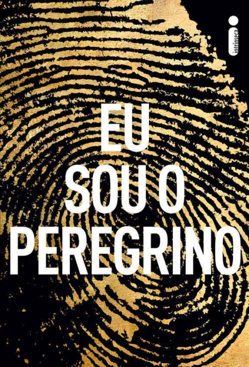 Baixar Livro Eu sou o peregrino Terry Hayes em PDF ePub e Mobi ou ler online