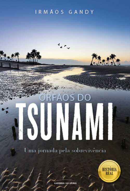 Baixar Livro Orfaos do Tsunami Irmaos Grand em PDF ePub e Mobi ou ler online