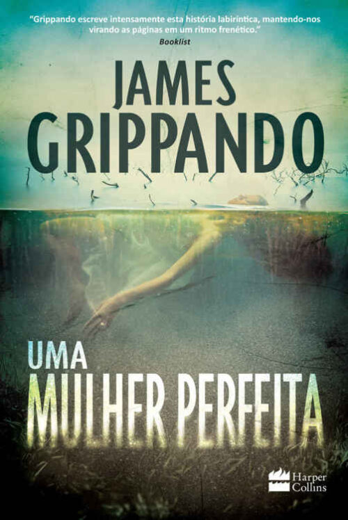 Baixar Livro Uma Mulher Perfeita James Grippando em PDF ePub e Mobi ou ler online