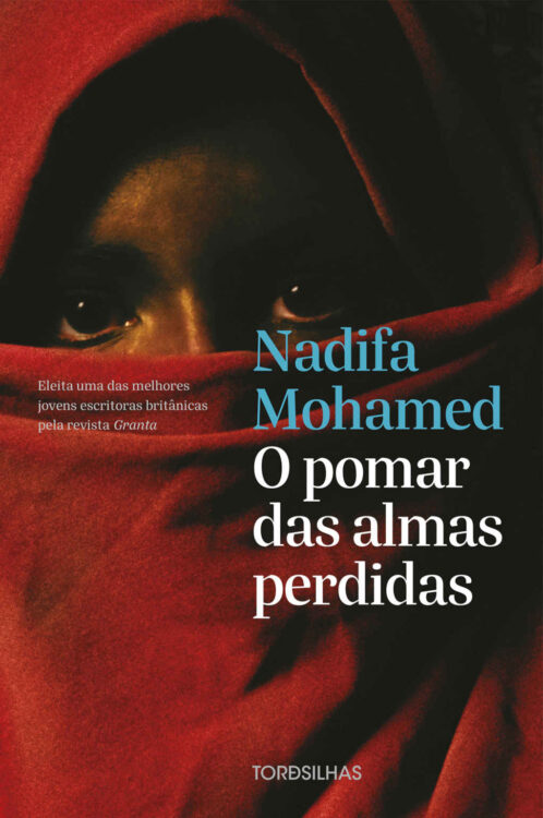 Baixar Livro O Pomar das Almas Perdidas Nadifa Mohamed em PDF ePub e Mobi ou ler online