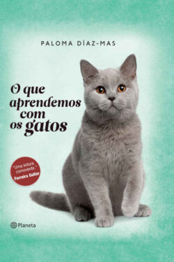 Baixar Livro O que aprendemos com os Gatos Paloma Díaz Mas em PDF ePub e Mobi ou ler online