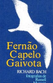 gaivota