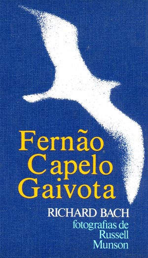 gaivota