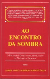 Baixar Livro Ao Encontro da Sombra Connie Zweig em Pdf ePub e Mobi ou ler online