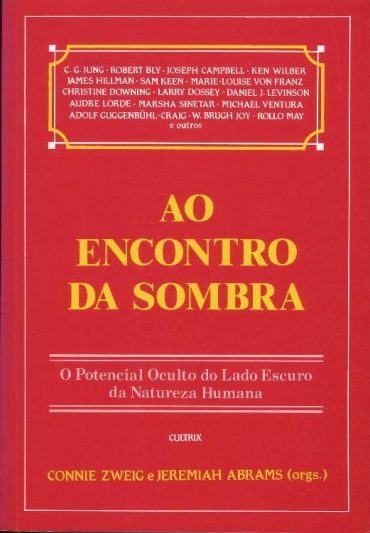 Baixar Livro Ao Encontro da Sombra Connie Zweig em Pdf ePub e Mobi ou ler online