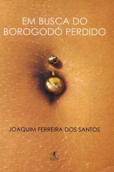 Baixar Em Busca do Borogod Perdido Joaquim Ferreira dos Santos em Pdf ePub e Mobi ou ler online