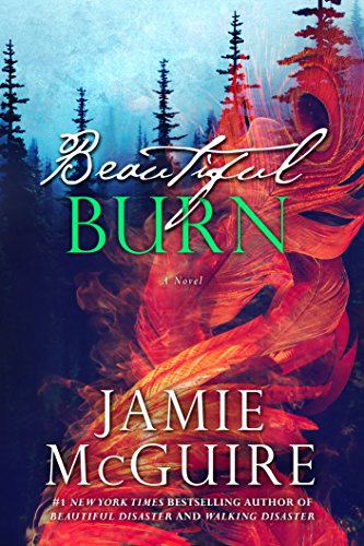 Baixar beautiful burn Jamie McGuire em Pdf ePub e Mobi ou ler online