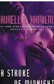 Baixar Livro Um Golpe a Meia Noite Meredith Gentry Vol 04 Laurell K. Hamilton em Pdf Mobi ou ler Online