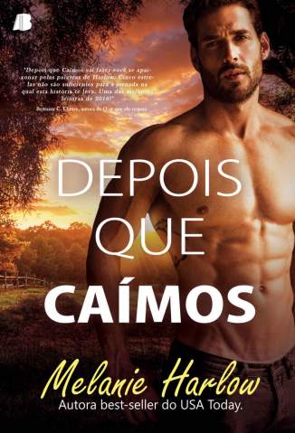 Baixar Livro Depois que Caimos Melanie Harlow Em Epub Pdf Mobi Ou Ler Online large