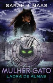 Baixar Livro Mulher Gato Ladra de Almas Lendas da Dc Vol 3 Sarah J Maas Em Epub Pdf Mobi Ou Ler Online large