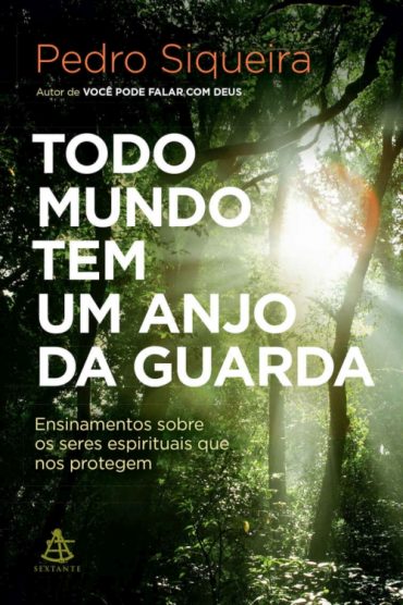 baixar livro todo mundo tem um anjo da guarda pedro siqueira em pdf epub mobi ou ler online